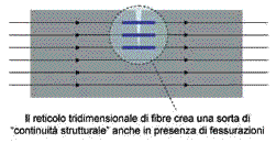 azione-fibre-2