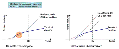 azione-fibre